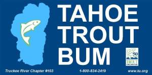 Tahoe Trout Bum