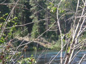 Wet wading past the gorge, despite the icy cold water. 