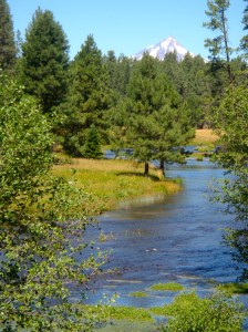 The view from the head of the Metolious River