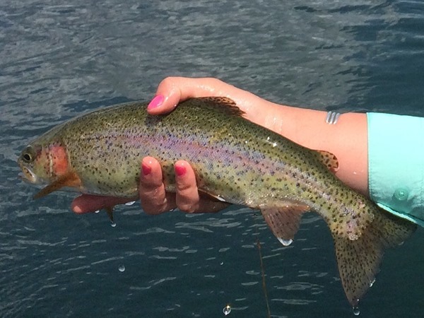 Image processed by CodeCarvings Piczard ### FREE Community Edition ### on 2015-05-06 00:30:45Z | http://piczard.com | http://codecarvings.com