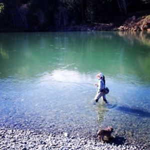 10899519_339001126287308_2135288543_n