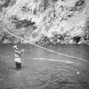 10952801_1427858210847026_1846570340_n